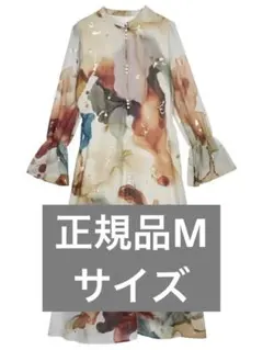 Item thumbnail for item 5baa43a7-e36c-4026-8e90-f3ab12965e35