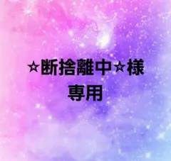 【⭐︎断捨離中⭐︎様専用】追加分