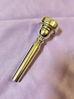 2026年最新】ボブリーブス マウスピースの人気アイテム - メルカリ