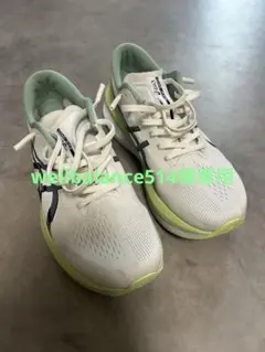 Item thumbnail for item df58ed2d-e3ae-40e3-af25-5801522836c3