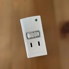 エルパ 耐雷サージ節電アダプター (2個口)