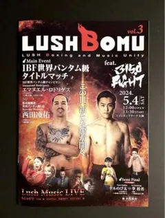 Item thumbnail for item 1c24c339-fd22-4b3f-8ef3-bd2abdda6e3b