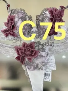 2025年最新】サルート90の人気アイテム - メルカリ