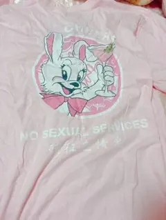FR2 Tシャツ ライトピンク うさぎ