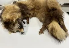 Item thumbnail for item 4e8d9cb7-3db1-44df-9811-6083de462f55