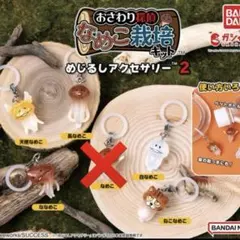 なめこ栽培めじるしアクセサリー2 セミコンプ　なめこ