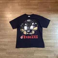 90s ダズマニアンデビル Tシャツy2k cityboy スケーター アメカジのサムネイル