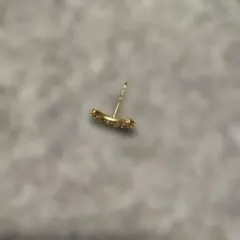 Item thumbnail for item d0653325-90cb-4ee3-9adb-583361fe38a1