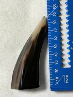 2026年最新】三線 爪 バチの人気アイテム - メルカリ