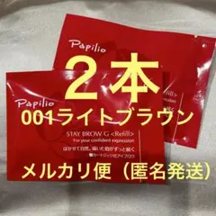 新品未開封〈リフィル〉 ×2本〈◇002チャコール〉パピリオ ステイ