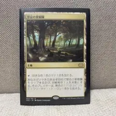 MTG 地平線の梢 日本語 - メルカリ