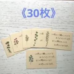 감사 카드, 30개 세트, 보태니컬 패턴