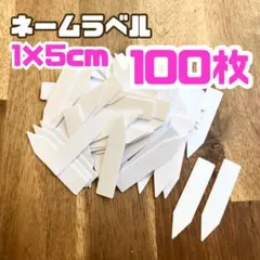 100枚/園芸ネームプレート ラベル ホワイト 白 多肉 株分 ガーデニング
