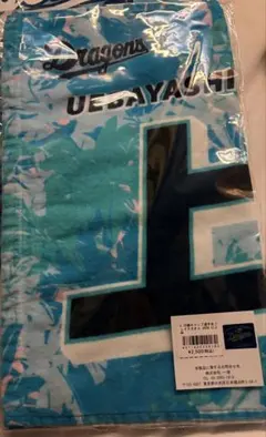 Item thumbnail for item 57c772fe-ecf2-45c6-b4b6-2c63588dfec9