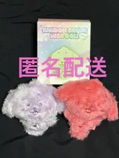 NCT WISH doll ジェヒ ドール popup ２点 パープル レッド