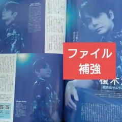 月刊TVガイド 1月号 榎木淳弥 切り抜き声優 - メルカリ