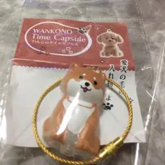 WANKONO Time Capsule わんこのタイムカプセルガチャ/まめ