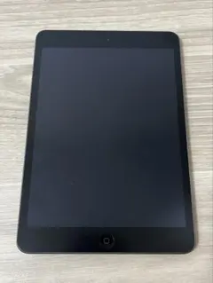 Apple iPad mini 2 スペースグレー