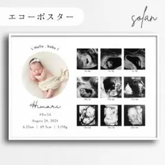 Item thumbnail for item e64cf55f-a594-4ca2-9170-8c9dc99995dc