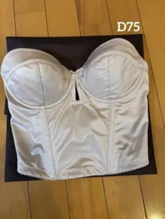 THE TREAT DRESSING ブライダルインナー ビスチェ　D75