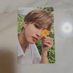 STRAYKIDS スキズ ハン NOEASY トレカ