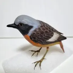 バードカービング 野鳥 木彫り ジョウビタキ
