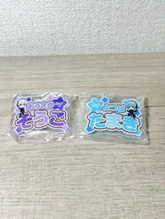 アイナナ 壮五　環　ネームバッジ