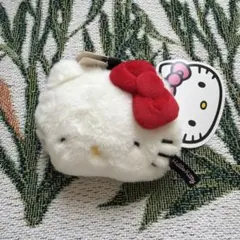 ゴ*マ様 ZARA Hello Kitty フェイクファー ポーチ⭐︎新品のサムネイル