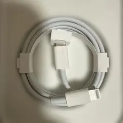 [Apple 純正]Lightning - Type-C USB ケーブル 1m