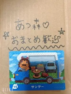 あつ森amiibo⭐︎サンデー