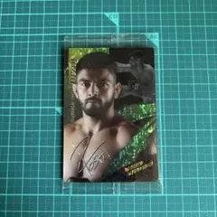 Item thumbnail for item b5e24f58-5cae-429d-bf62-be0571d26c88