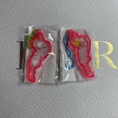琵琶湖キーホルダー 2個セット