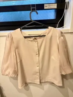 アストリアオディール ブラウス ピンク半袖 美品のサムネイル