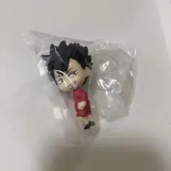 ハイキュー　こっちむいてFig.