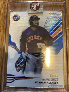 Yordan Alvarez Houston Astros 限定カード73シリ