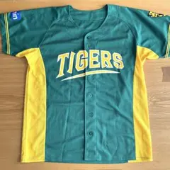 Item thumbnail for item 81476281-74fa-4917-9f74-899a522890a0