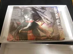 新品未開封】アカメが斬る！ キャンバスパネル アカメ 原作イラスト 