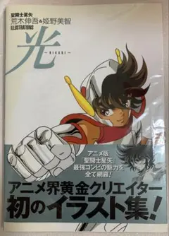 聖闘士星矢 荒木伸吾&姫野美智 ILLUSTRATIONS ~光~ - メルカリ