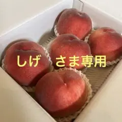 山梨一宮の木のてっぺんから収穫したプレミアムピーチ　幸茜の超特大サイズの5個詰め