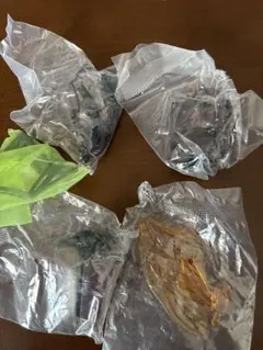 Item thumbnail for item e982354d-b57e-4c9d-a607-fcf640b38c30