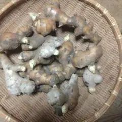 生姜 種芋 900g籠の重量含む 鮮度抜群！ 植え付け用のサムネイル