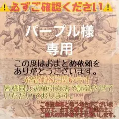 パープル様 リクエスト 2点 まとめ商品