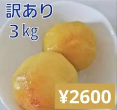 【山梨県産】すもも プラム サマーエンジェル 農家直送 訳あり 小玉 3kgのサムネイル