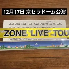 SexyZone チケット 半券