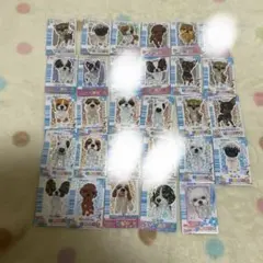 ワンタメシークレット、ゲストカード　バラ売り可　ノースキャン 2025年最新】ワンタメカードの人気アイテム - メルカリ
