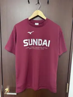 超貴重　駿台学園　バレーボール　MIZUNOロゴ有　練習着　サイズＸＬ　新品 ラスト1点 Mizuno 駿台学園 男子バレーボール部 Tシャツ 貴重 エンジ