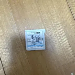 ニンテンドー3DS ゲームソフト LHA-CTR-ABDJ-JPN