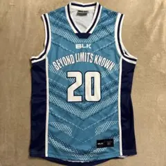 Item thumbnail for item a4387d11-4ce5-4850-ad50-3fe0972a8c72