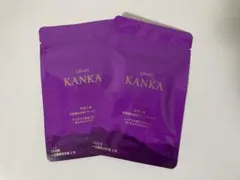 日新商事　KANKA カンカ2袋 防水モデルが新登場！ アルパインスターズの「KANGA-2 WAIST BAG