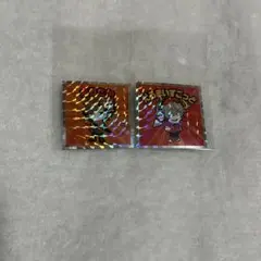 crazy raccoon クレイジーラクーンマンチョコ だるま ありさか